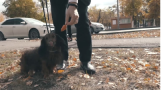 Деканы тоже люди